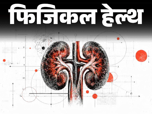 phkft-kidney-0_1790498740.gif