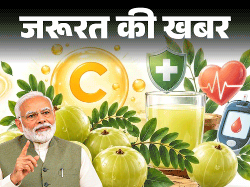 zkkbenifits-of-amla-0_1790688251.gif